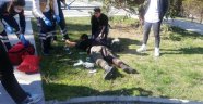 Beylikdüzü'nde parkta bıçaklı kavga: 1 yaralı