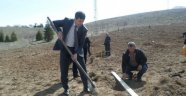 Üç ilçede Antep Fıstığı dikimi yapıldı