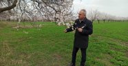 Don riski üreticiyi endişelendiriyor!