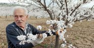 "İnşallah zirai don yaşanmaz"