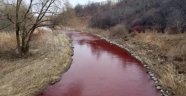 Kanada'da nehir kırmızıya büründü