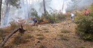 Balıkesir'de orman yangını