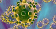 ABD'de korona virüs salgını nedeniyle ölü sayısı bin 711'e yükseldi