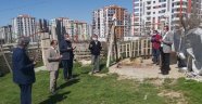 Bakan Soylu için iki koç kestiler!