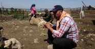 Kaval eşliğinde koyunlarını kırktılar