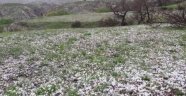Elazığ'da misket büyüklüğünde dolu yağdı