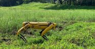 Singapur'dan koronaya karşı 'robot köpek' önlemi