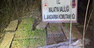 Kamu arazisine hint keneviri ektiler