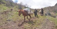 Pancar toplamak için dağı tırmanıp kilometrelerce yürüyorlar