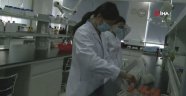 Çin aşı çalışmaları testlerine temmuzda başlıyor