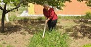 Sebze yetiştirerek gününü geçiriyor!