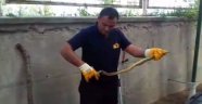 Otomobilin motor kısmına giren yılan korkuttu