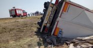 Çekirdek yüklü tır şarampole yuvarlandı: 1 yaralı