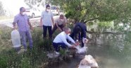 Göletlere 50 bin balık bırakıldı!