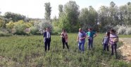 ÇKS kayıtlarında son gün uyarısı!