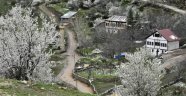 Meteorolojiden zirai don uyarısı!