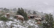 Kazara ateş alan tüfek can aldı!