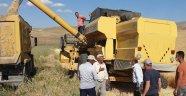 Arguvan'da hasat zamanı!