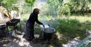 Dutlar oldu pekmez yapımı başladı