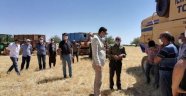 Akçadağ'da hububat hasadı başladı