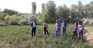 Başvurular 7 Temmuz'a uzatıldı