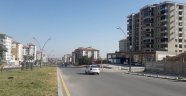 Tecdeliler Altın Kayısı Bulvarı'na EDS istiyor