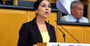 Yüksekdağ: 'Çeşitli saldırı ve gerilim olayları...'