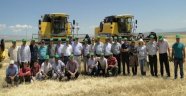 Akçadağ'da Tohumluk Arpa Ve Buğday Hasadı Başladı