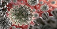 Koronavirüs salgınında dünya genelinde vaka sayısı 20 milyonu aştı