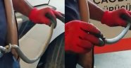 Otomobilin motoruna giren yılanı itfaiye çıkardı