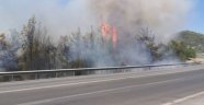 Lastiği patlayan kamyon orman yangını çıkardı