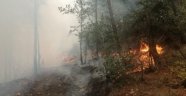 Adana'da çıkan orman yangınında 3 kişi gözaltına alındı