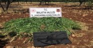 Kaçak kenevir ve silah operasyonu