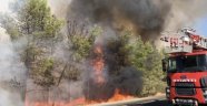 Şanlıurfa'da korkutan yangın