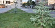 Ayşehan Camisi'nde Çevre Düzenlemesi