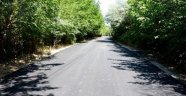 Leylekpınar Mahallesinin 4 KM'lik Yolu Asfastlandı
