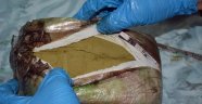 Malatya'da 13 kilo esrar yakalandı