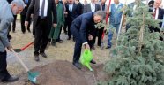Abdullah Gül hatıra ormanına ağaç dikti