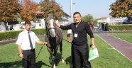 Geleceğin Yarış Atları Kapış Kapış Satıldı