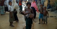 ABD, Arakan'daki zulme ilk kez 'etnik temizlik' dedi