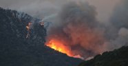 ABD'de 20 bin dönümden fazla ormanlık alan küle döndü