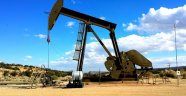 ABD'li şirket Siirt'te petrol arayacak