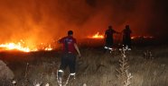 Adıyaman'da korkutan orman yangını
