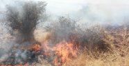 Adıyaman'da orman yangını korkuttu