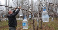 Ağaç dallarına pet şişe asan çiftçinin ilginç yöntemi