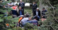 Ağacın altında kalan orman işçisi hayatını kaybetti