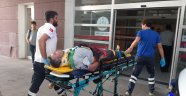Ağaçtan düşen adam yaralandı