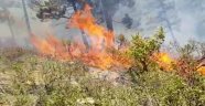 Alaçam Dağları'nda 7 hektarlık orman kül oldu