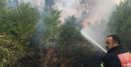 Amasya'da yangın: 5 dönüm alan zarar gördü