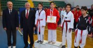 ANALİG Taekwondo Yarı Final Müsabakaları başladı